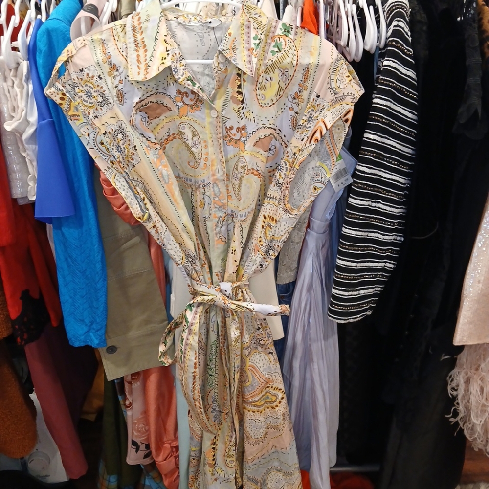 #112 zara print long maxi button up dress